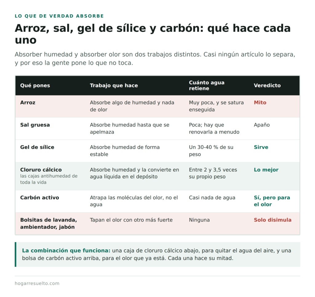 Comparativa de absorbentes para el armario: arroz, sal, gel de sílice, cloruro cálcico y carbón activo