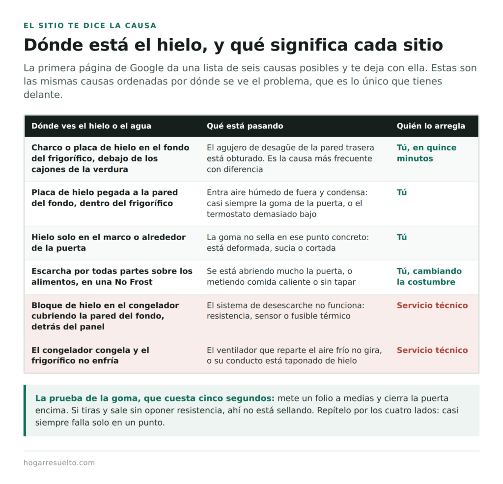 Dónde aparece el hielo en la nevera y a qué causa corresponde cada sitio