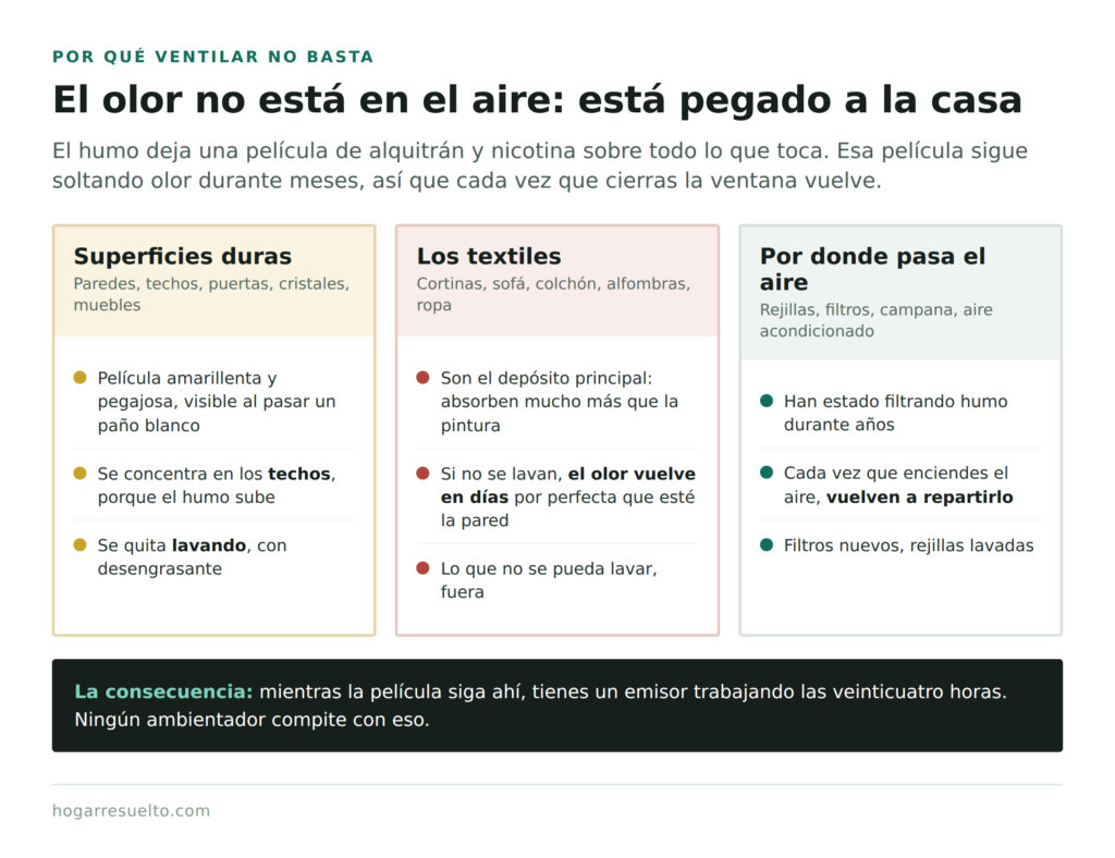 Dónde se deposita el olor a tabaco: superficies duras, textiles y sistema de ventilación