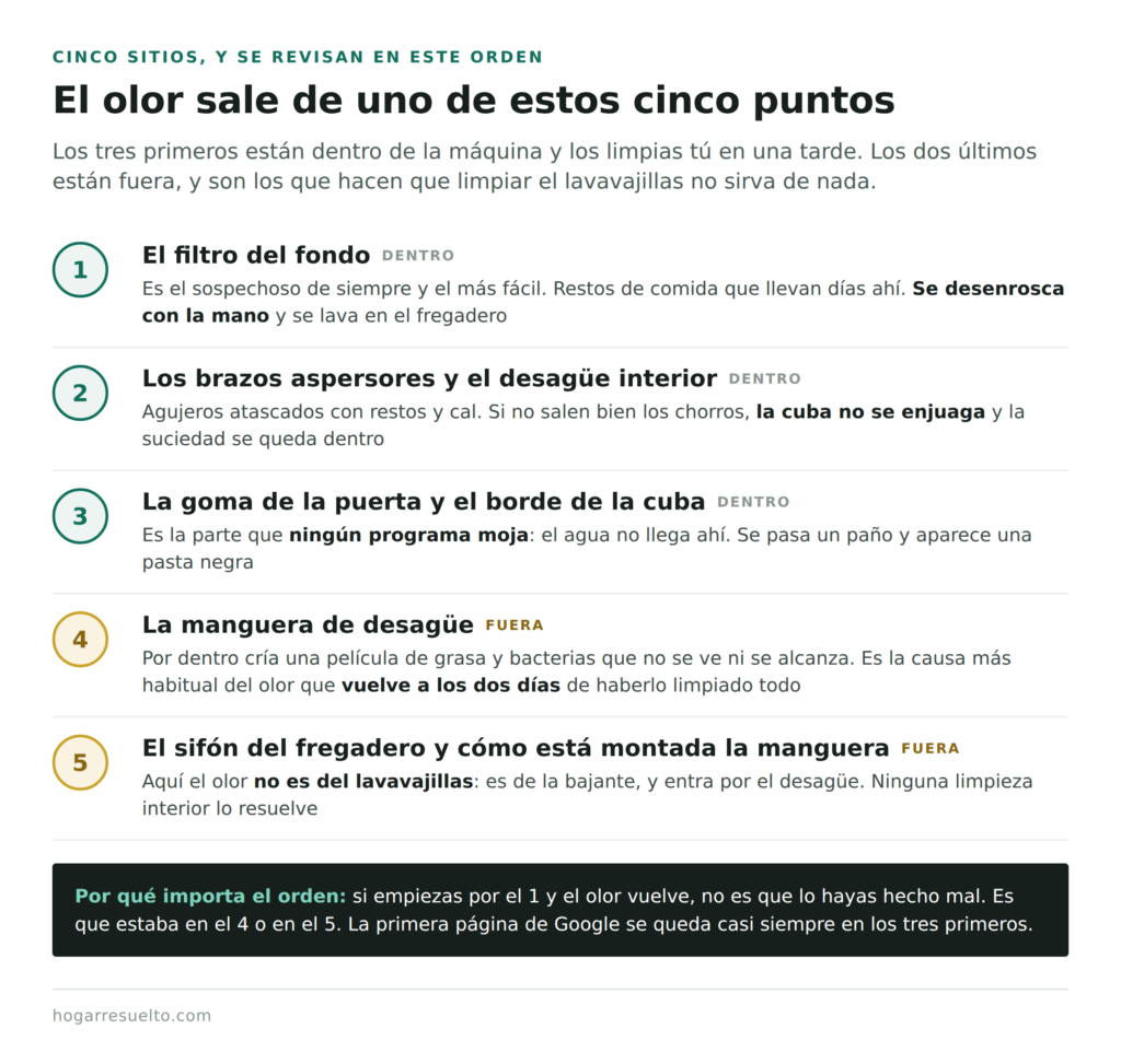 Los cinco puntos de donde sale el olor del lavavajillas, del filtro al sifón del fregadero