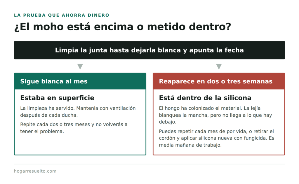 Cómo saber si el moho está en la superficie de la junta o dentro de la silicona