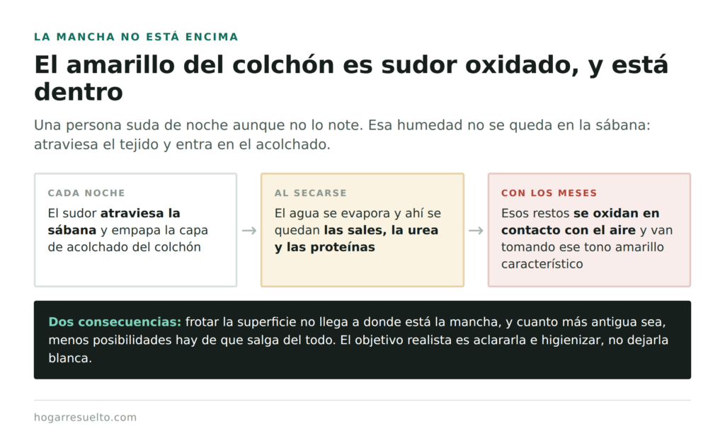 Por qué amarillea el colchón: el sudor se seca y sus restos se oxidan dentro del acolchado