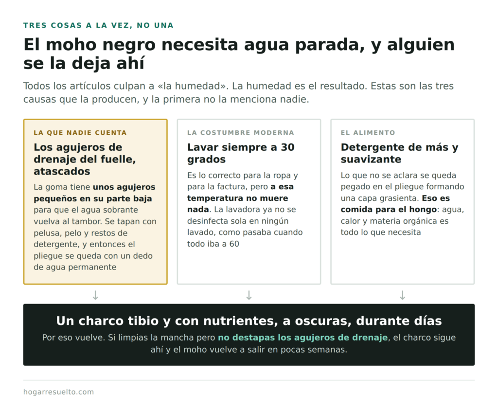 Las tres causas del moho en la goma de la lavadora: drenaje atascado, lavados en frío y residuo de detergente