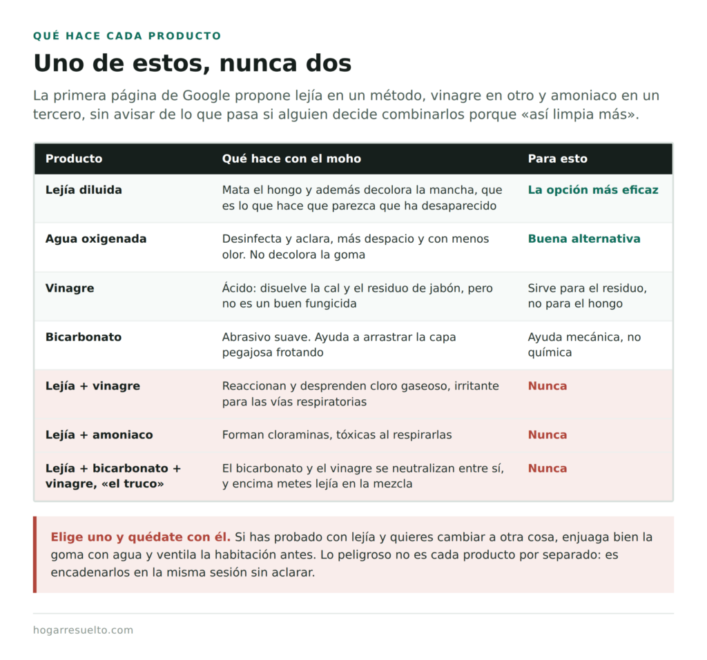 Qué hace cada producto contra el moho y qué mezclas no deben hacerse nunca